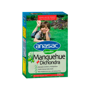 Semillas de pasto Manquehue + Dichondra 500 gr